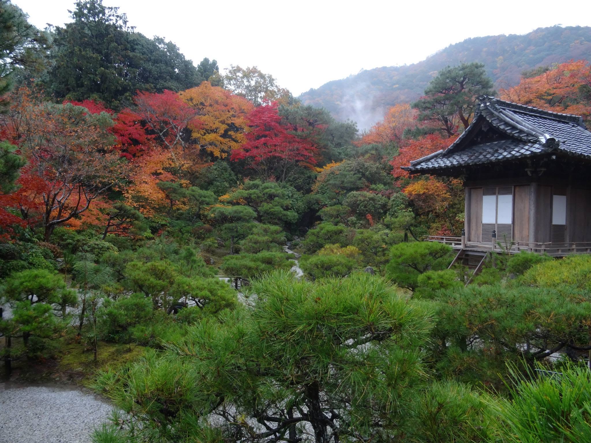 Jardin aux arbres rouges, orangés et verts, avec un pavillon au bord d’un étang.