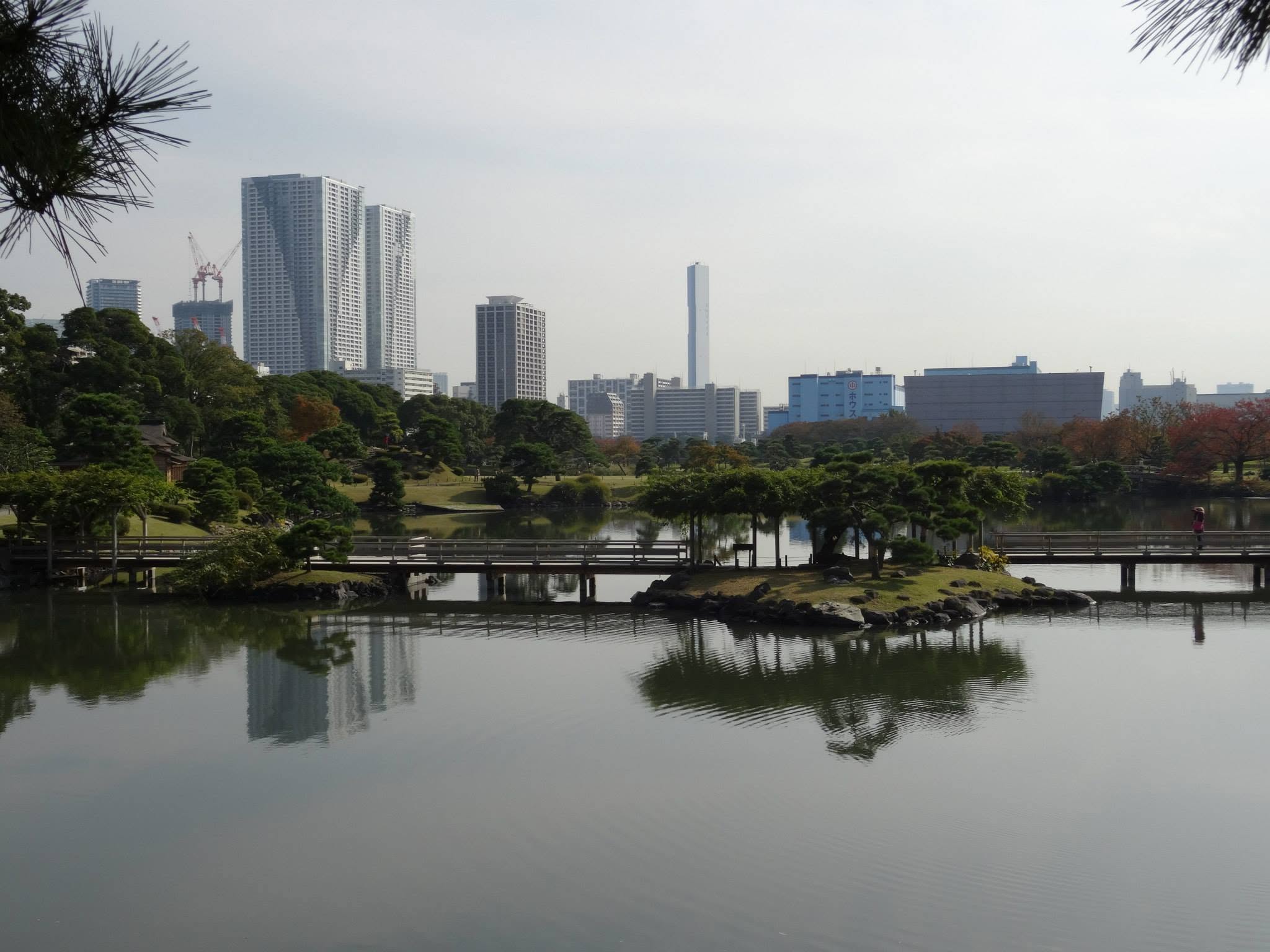 Étang d’un jardin japonais reflétant les arbres, les passerelles et les immeubles au loin.