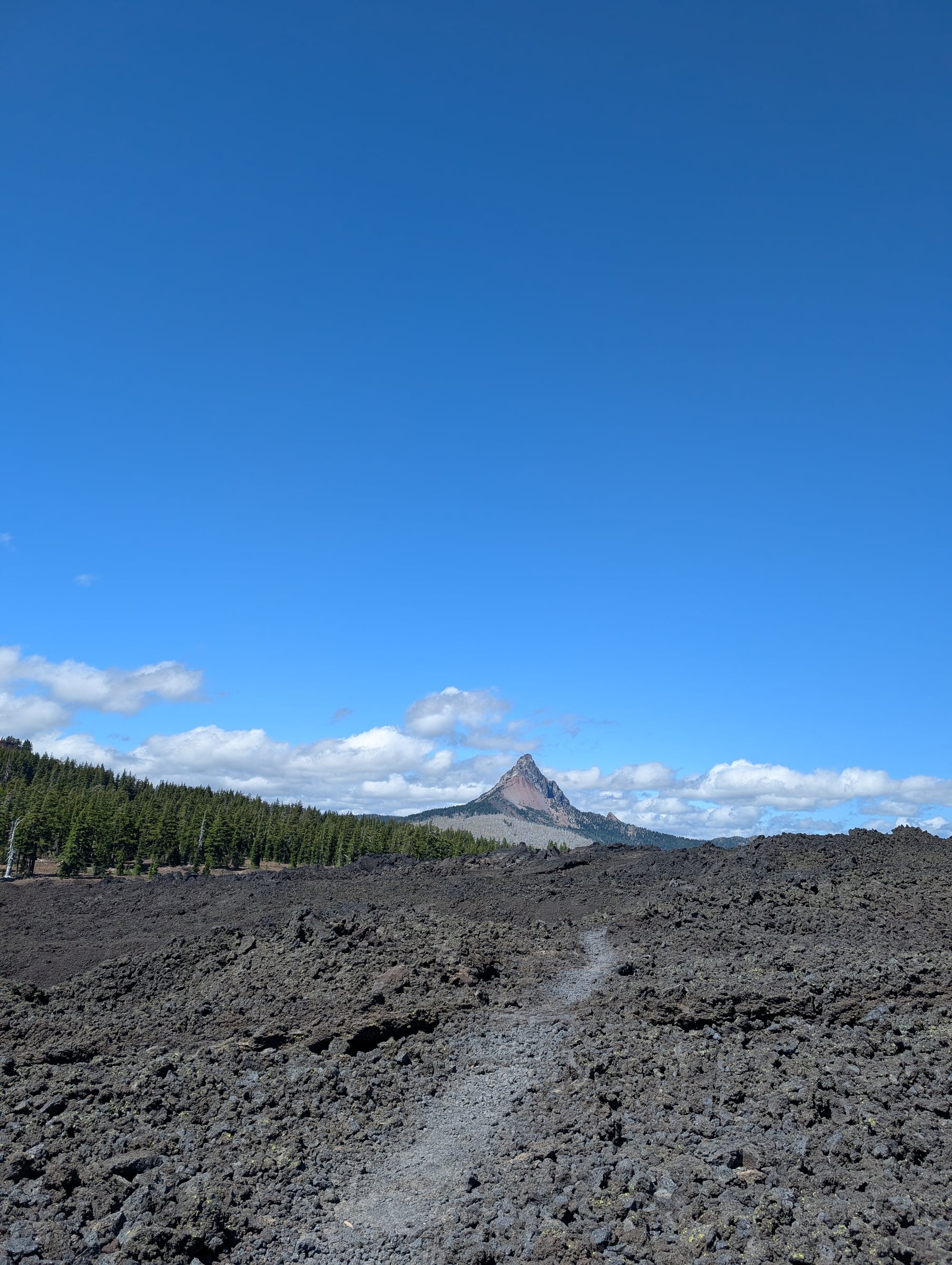 Champ de lave noire devant une forêt de conifères et un sommet pointu.
