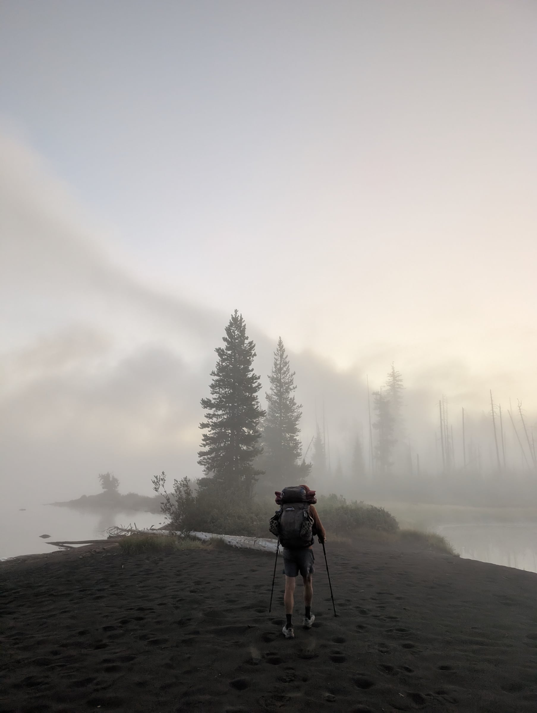 Randonneur au bord d’un lac dans la brume, parmi les silhouettes de conifères.