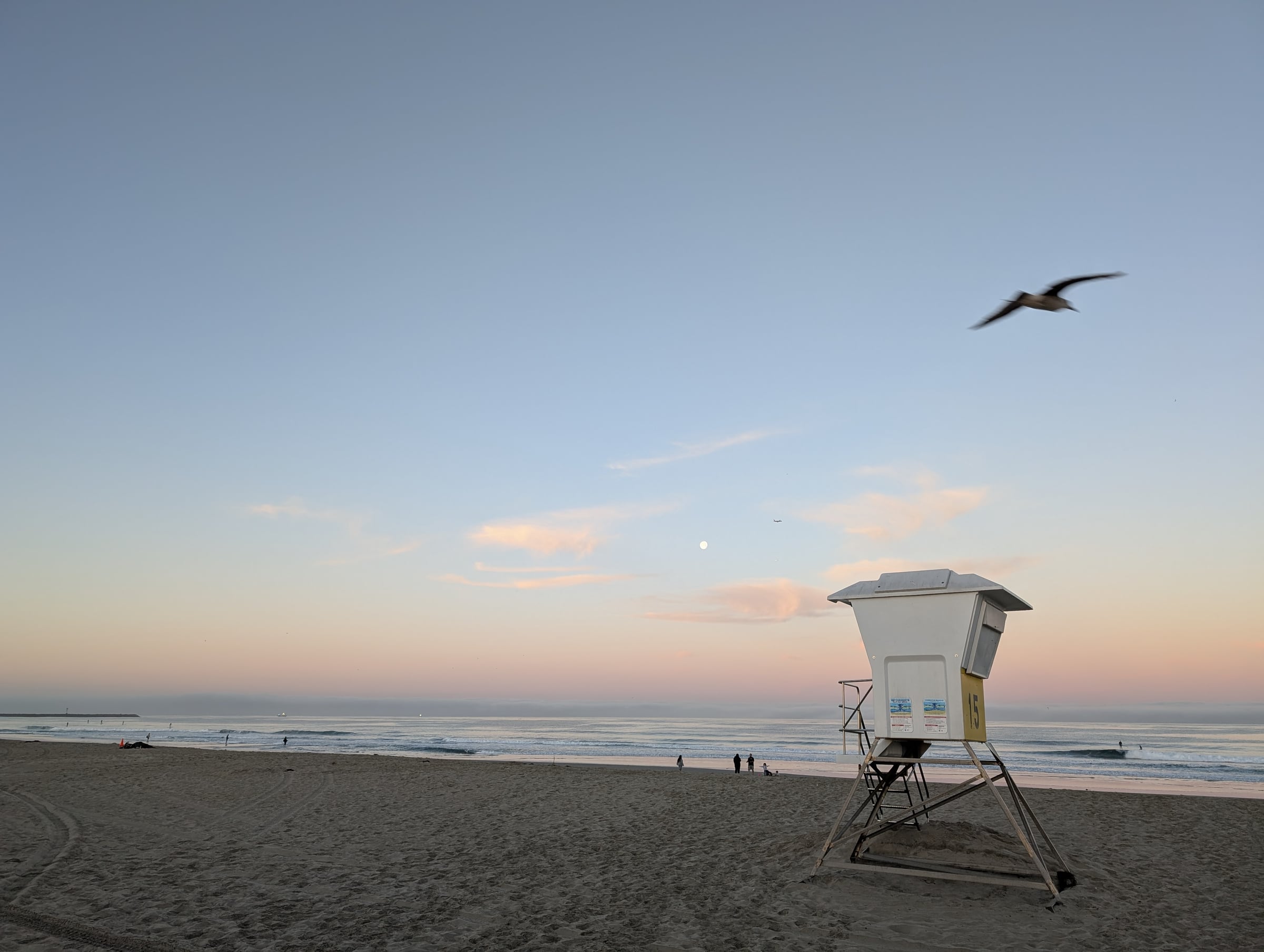 Plage au crépuscule, avec une cabine de sauveteurs et un oiseau au-dessus de l’océan.