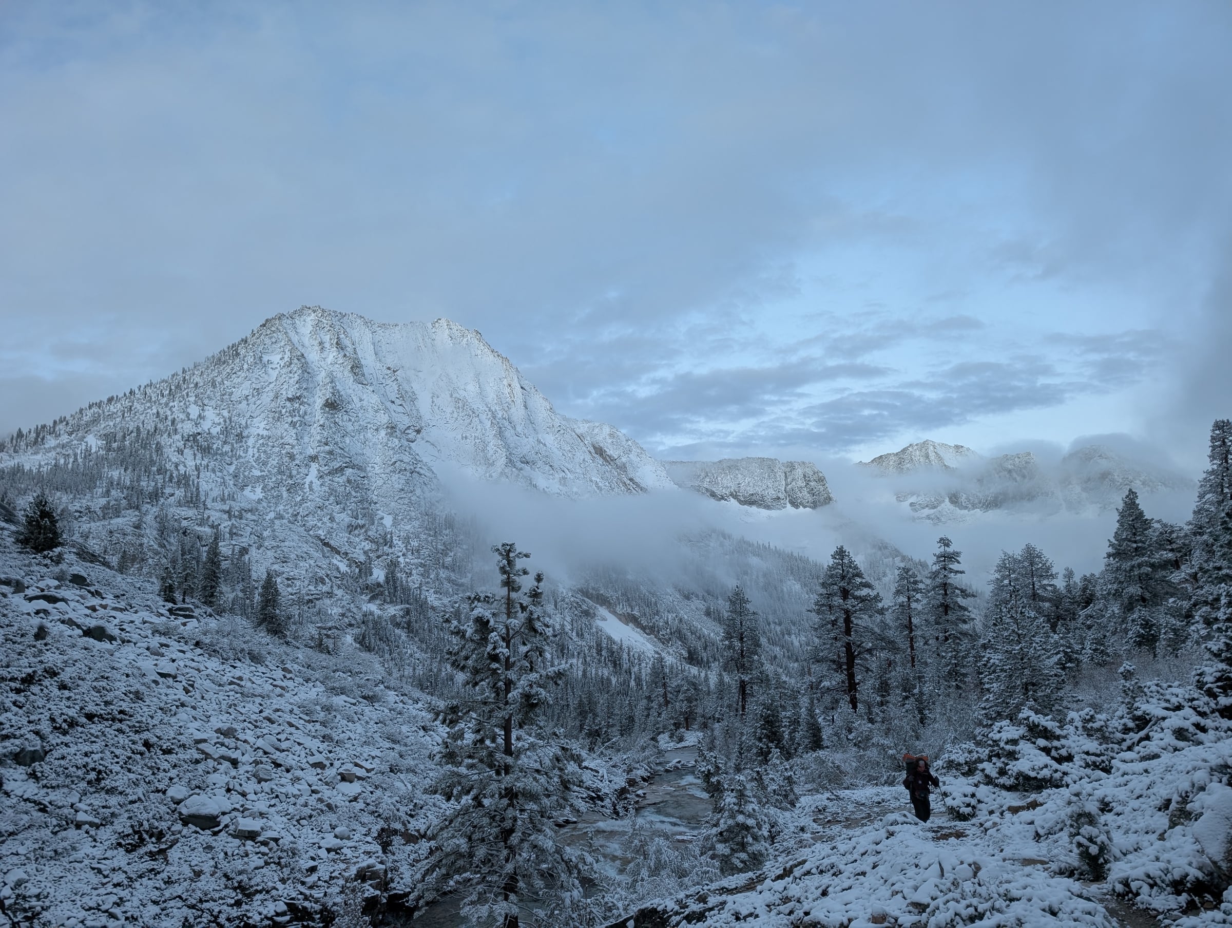 Montagnes et pins couverts de neige, avec un randonneur près d’un cours d’eau.