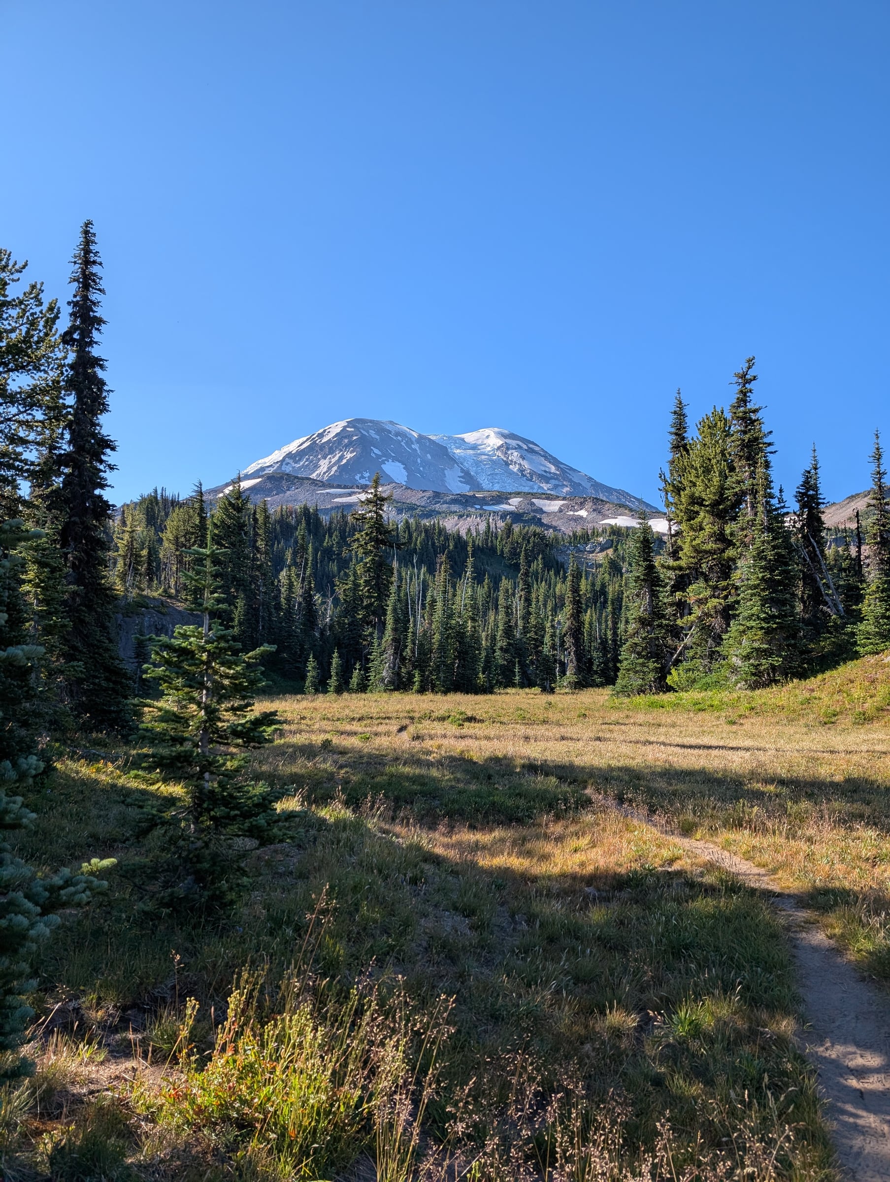 Volcan enneigé au-dessus d’une forêt de conifères et d’une prairie.